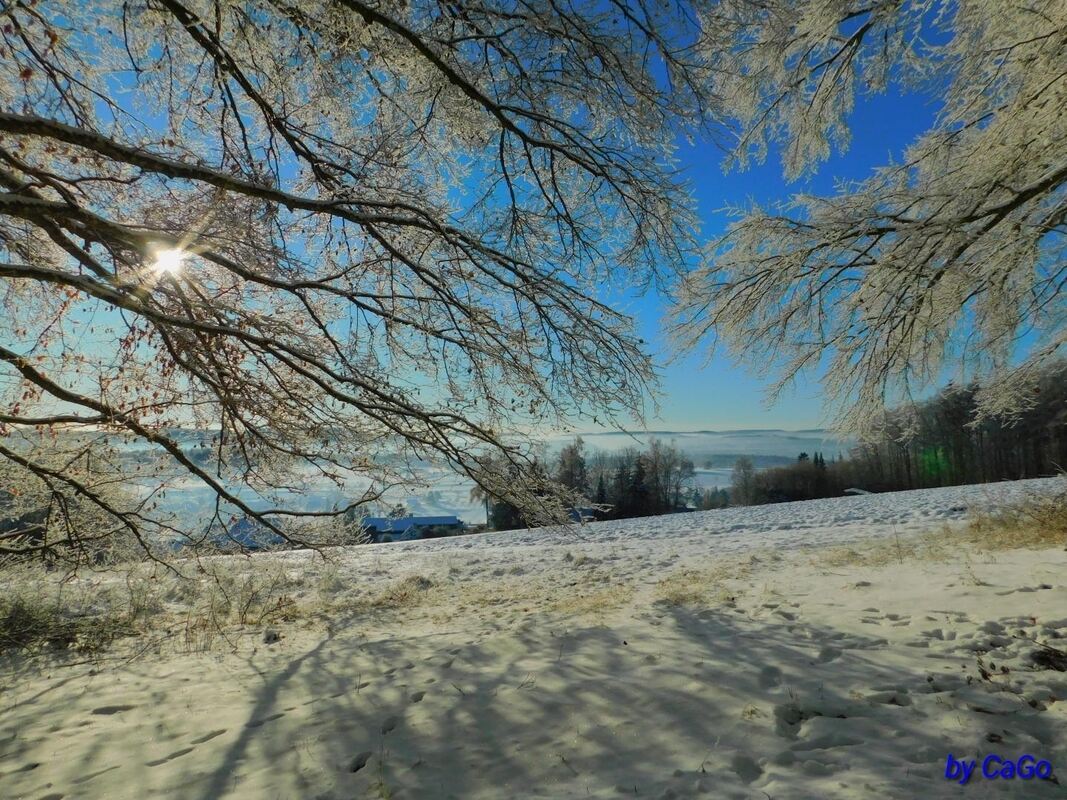 6 Morgens in Dottingen