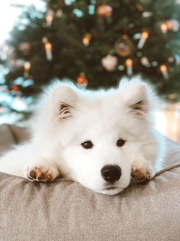 20 Warten auf den Weihnachtsmann