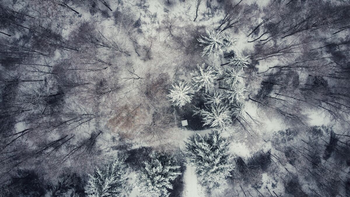 26 Schönbuch aus der Vogelperspektive