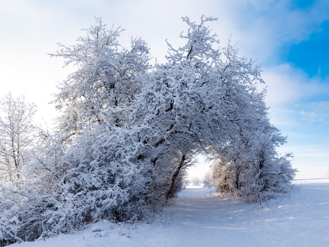 27 Aus einer anderen Welt