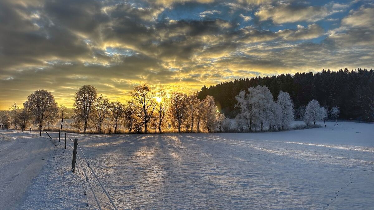 21 Winterlandschaft