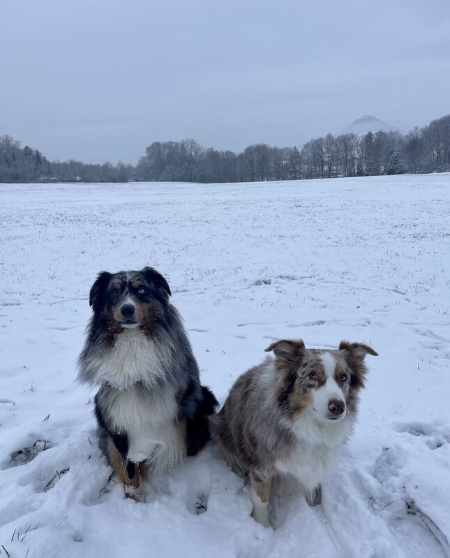 34 Wintertraum auf der Achalm