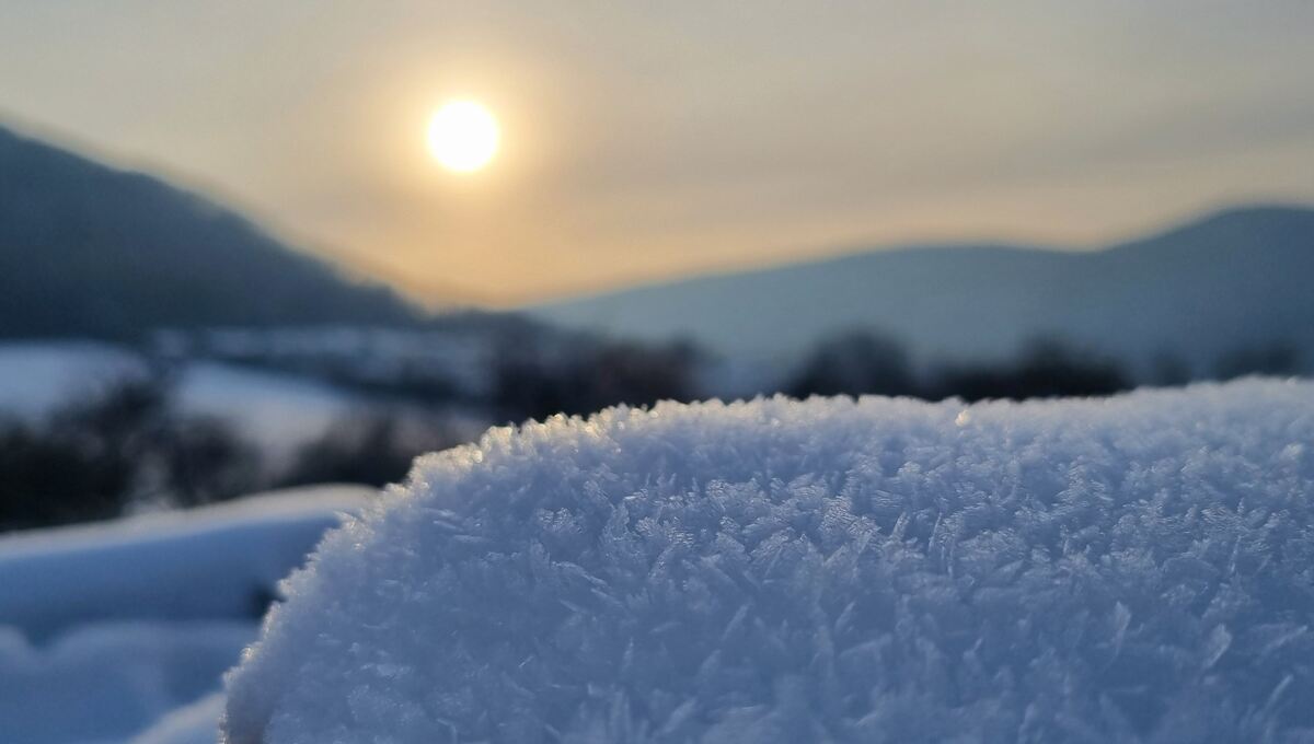 36 Eiskristalle in der Buchhalde