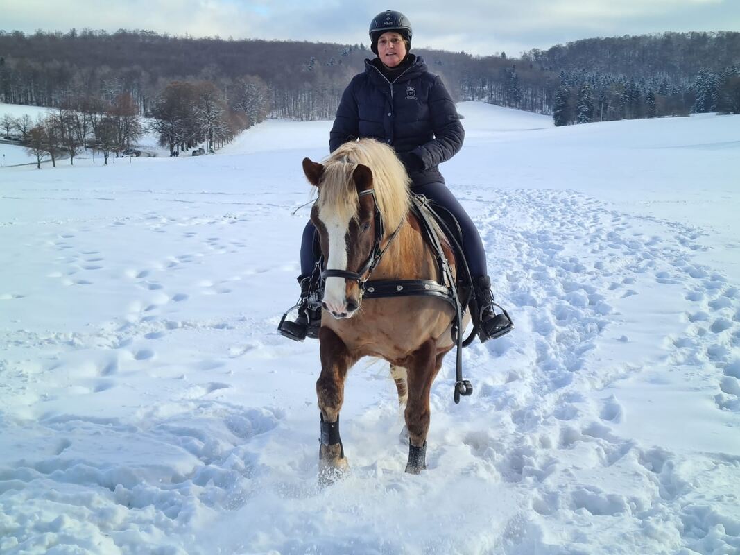 42 Schwarzwälder Revolverheld im Schnee