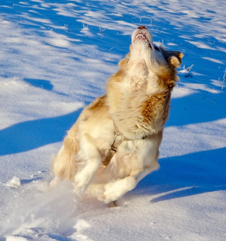 45 Der Winter kann so schön sein