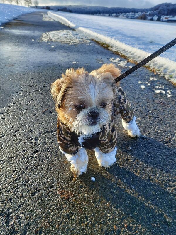 46 Baby Xandro liebt den Winter