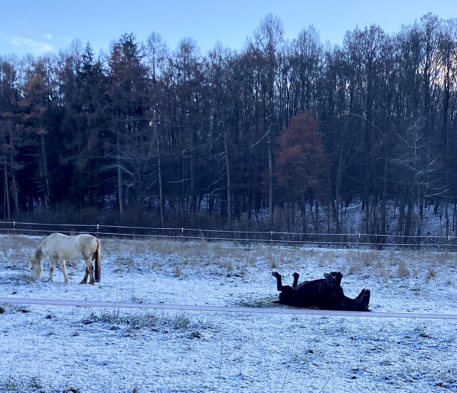 55 Ich mach dann mal Siesta