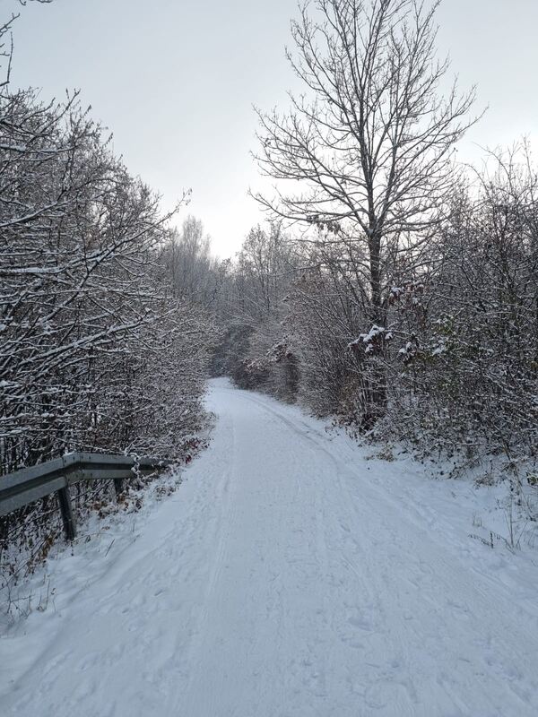 67 Winterspaziergang von Rommelsbach nach Pliezhausen