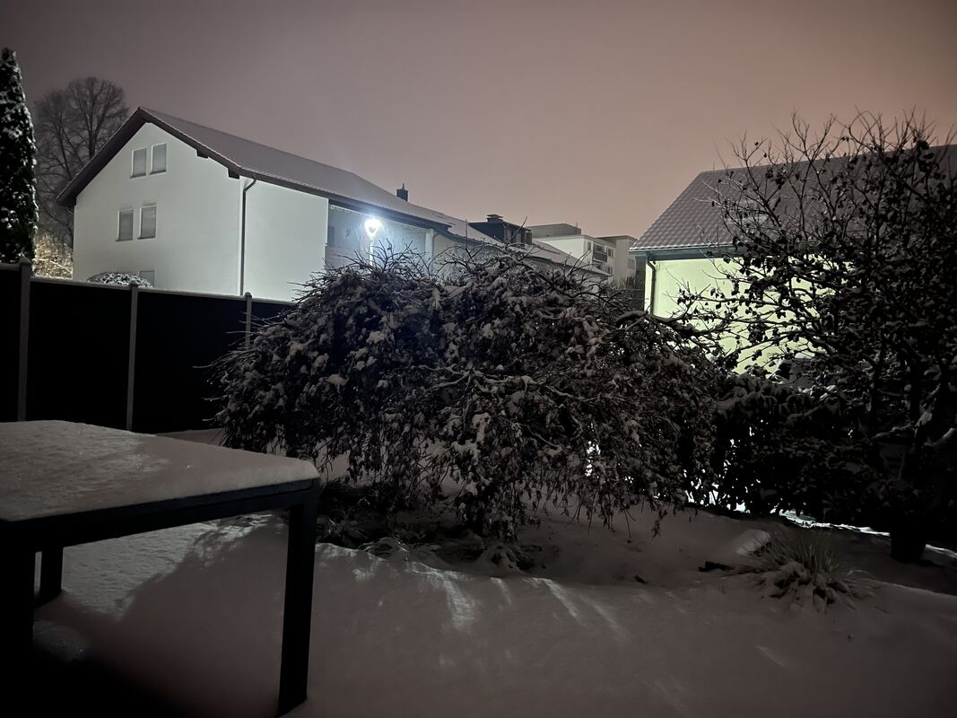 87 Winter Wonderland