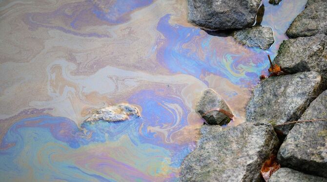 Öl im Nord-Ostsee-Kanal