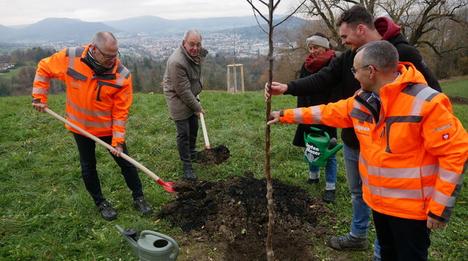 Dietmar Müller und OB Thomas Keck pflanzten jetzt den 44. von Algeco gespendeten Obstbaum auf der Achalm. FOTO: LEISTER