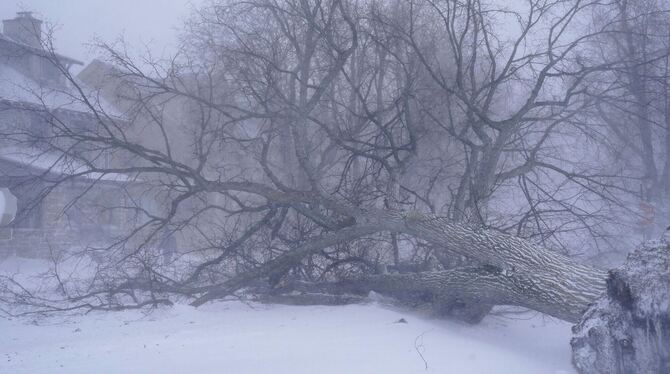 Kältewelle in den USA