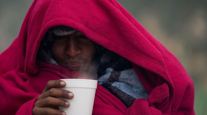 Flüchtling Flüchtling