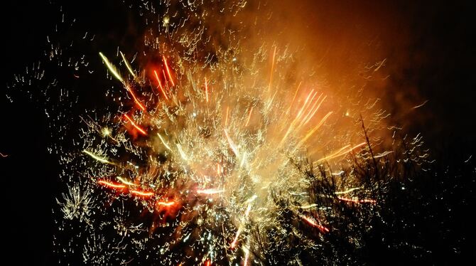 Der Förderverein Magolsheim hat ein professionelles Feuerwerk für das Dorf organisiert.  FOTO: WURSTER