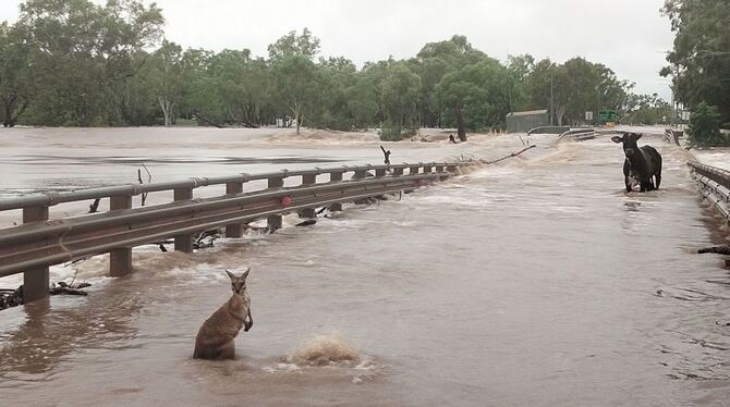 Überschwemmungen in Australien