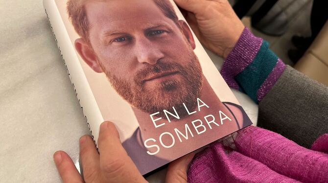 Prinz-Harry-Biografie