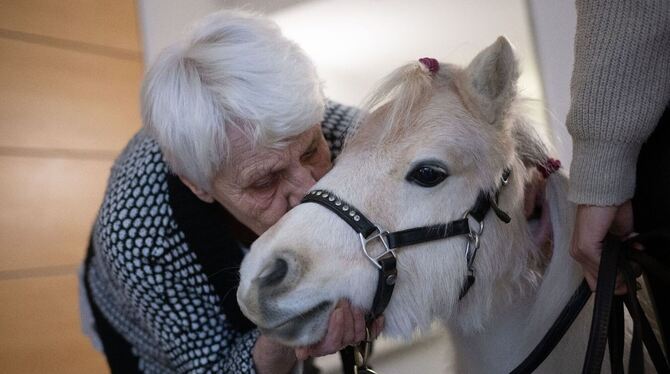 Ponys im Altenheim