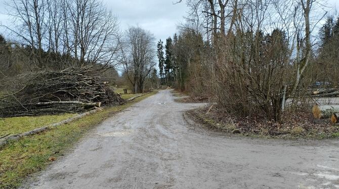 Im Bereich der Eninger Weide wurden etliche schadhafte Bäume entfernt.  FOTO: BÖHM