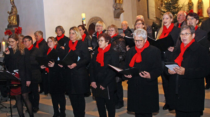 Der Kirchenchor St. Martin singt mit Sopranistin Verena Göbel (ganz links) das Lied »Wenn ich ein Glöcklein wär«.  FOTO: LEIPPER