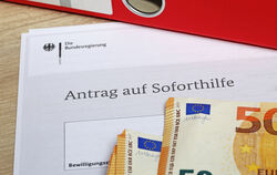 Corona-Soforthilfen konnten unbürokratisch beantragt werden. Das haben Betrüger ausgenutzt.  FOTO: ADOBE STOCL/U. J. ALEXANDER