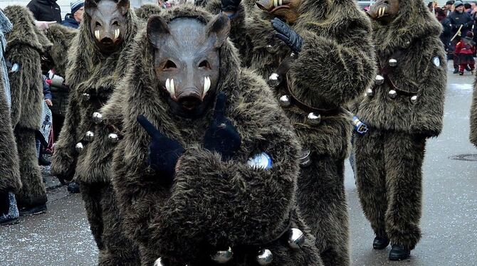 Der Legende nach wurden vor 1 000 Jahren im damaligen Tegirslat Wildschweine aus ihrem Lebensraum vertrieben, um dort eine Siedl