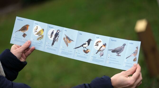 Stunde der Wintervögel Stunde der Wintervögel