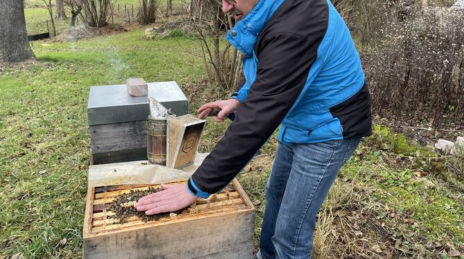 Obst- und Gartenbauexperte und Hobby-Imker Ulrich Schroefel wacht über rund 20 Bienenvölker. FOTOS: WEBER