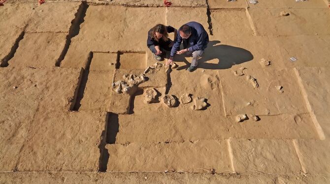 Mehr als 4000 Jahre alte Straußeneier in Israel entdeckt