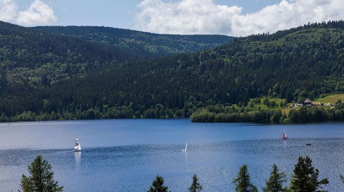 Mehr Besucher in der Ferienregion Schwarzwald