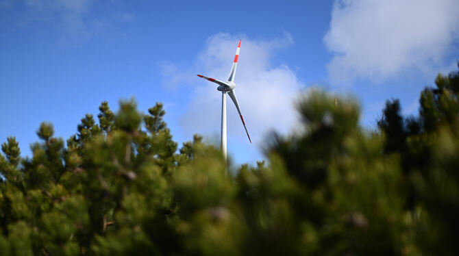 Windräder im Wald: Trochtelfingen sieht ein Gebiet südöstlich von Mägerkingen dafür vor.  FOTO: DECK/DPA