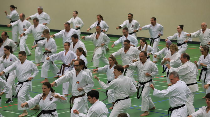 250 Karateka sorgen für ein Gewusel in der Dietweghalle. FOTO: REISNER 250 Karateka sorgen für ein Gewusel in der Dietweghalle. FOTO: REISNER