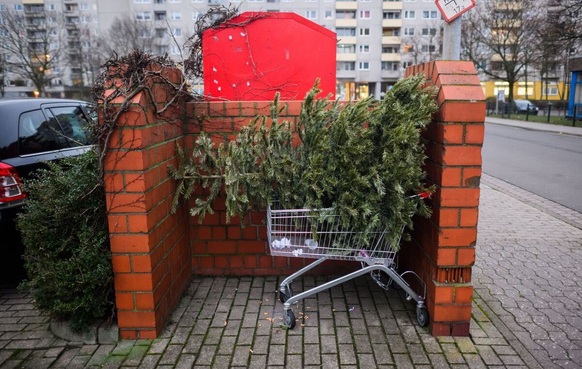 Oh Tannenbaum Oh Tannenbaum