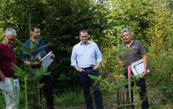 Revierförster Andreas Hipp (rechts), hier beim Waldumgang im Juli, kann Bürgermeister Mario Storz im Forstwirtschaftsplan wieder