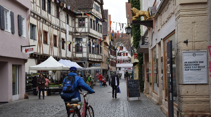 Tübingens Einwohnerzahl ist auf 92 651 gestiegen, dadurch erhöhen sich die Schlüsselzuweisungen. FOTO: KREIBICH