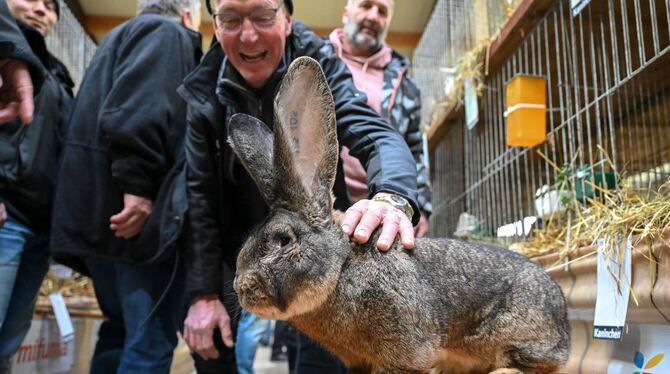 Bundeskaninchenschau