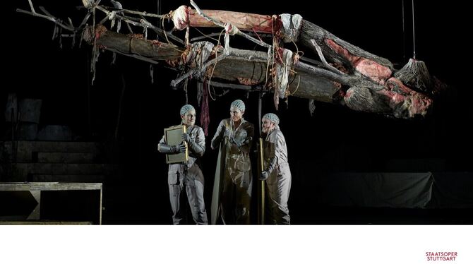 Wie ein Stück vermülltes Strandgut: Bedrohlich schweben die Reste der Weltesche über den Rheintöchtern (Martina Mikelic´, Linsey