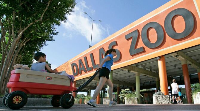 Rätselhafte Vorfälle im Zoo von Dallas