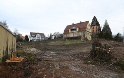 Das Grundstück um die Villa Menzel an der Alteburgstraße ist komplett abgeholzt. Ein Investor denkt hier an den Bau mehrerer Woh