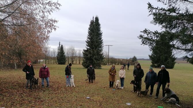 Der Verein für Deutsche Schäferhunde, Ortsgruppe Münsingen, bietet Erziehungskurse an.  FOTO: VEREIN