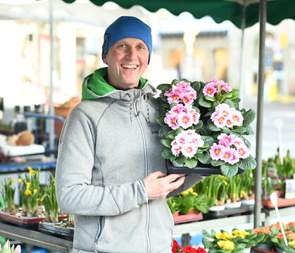 Der Wannweiler Gärtner und Florist Peter Hochstetter ist schon seit vierzig Jahren auf dem Wochenmarkt präsent.  FOTOS: ZENKE