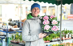 Der Wannweiler Gärtner und Florist Peter Hochstetter ist schon seit vierzig Jahren auf dem Wochenmarkt präsent.  FOTOS: ZENKE