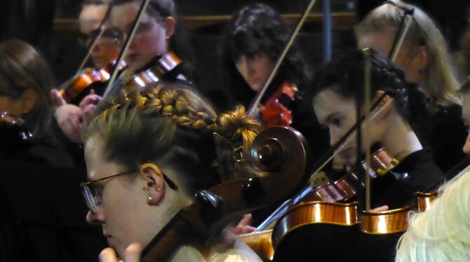 Musikerinnen und Musiker der Freien Sinfonie in der Stiftskirche.  FOTO: BERNKLAU