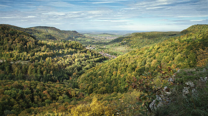 Die Hangschluchtwälder sind mit ein Aushängeschild des Biosphärengebiets Schwäbische Alb. Lichtenstein ist ein Teil davon und üb