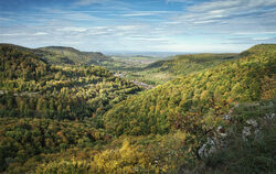 Die Hangschluchtwälder sind mit ein Aushängeschild des Biosphärengebiets Schwäbische Alb. Lichtenstein ist ein Teil davon und üb