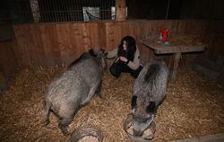 Die Wildschweine Tilda (links) und Lotte haben nach wie vor ein inniges Verhältnis zu ihrer Pflegemutter Ramona Frey. Unbekannte