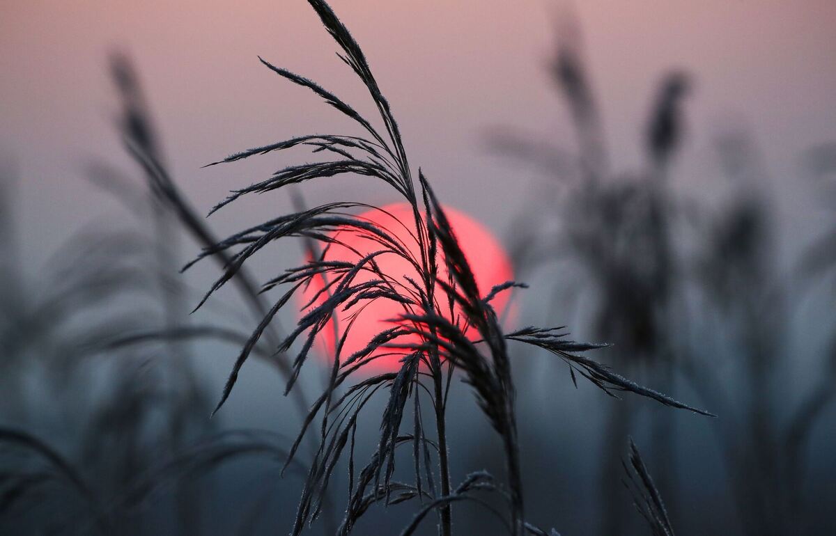 Sonnenaufgang in Oberschwaben Sonnenaufgang in Oberschwaben