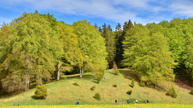 Wanderer auf dem Meidelstetter Naturerlebnispfad: Tourismus auf Hohensteiner Markung war einer von vielen Aspekten, der in der B