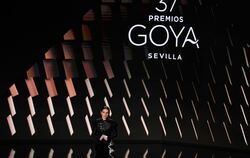 Goya-Filmpreis in Sevilla