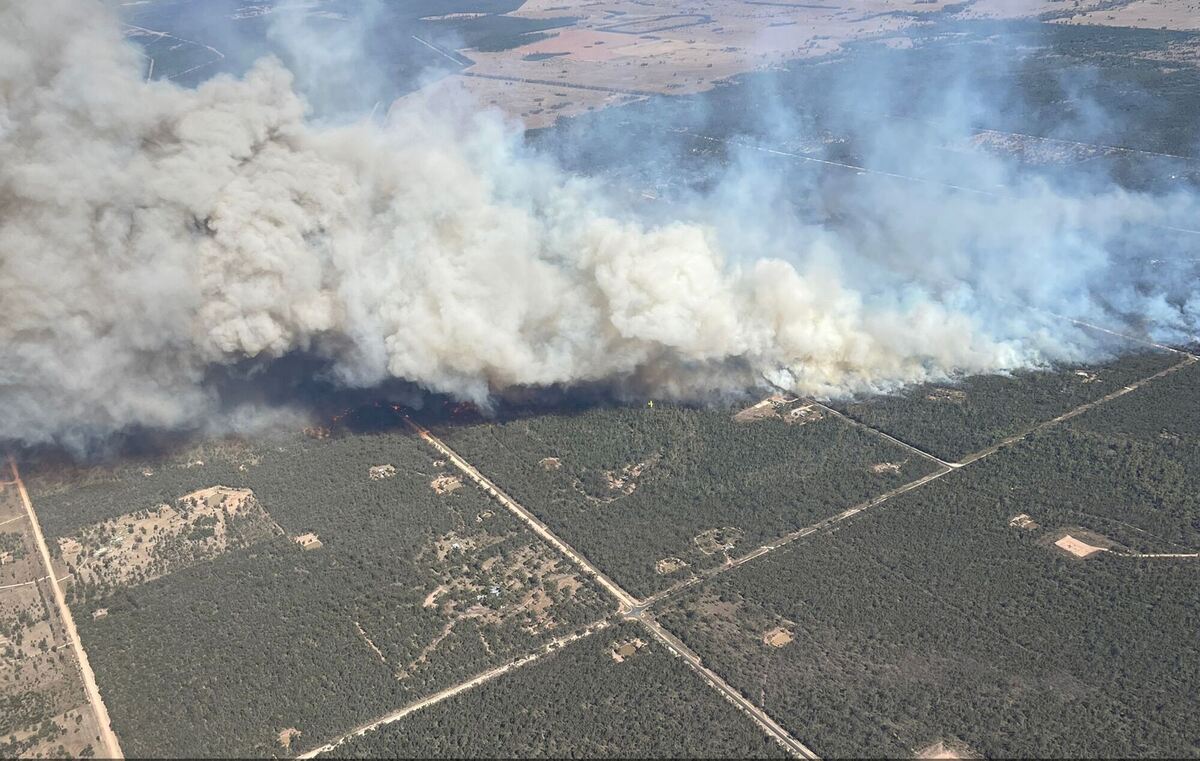 Buschfeuer Buschfeuer