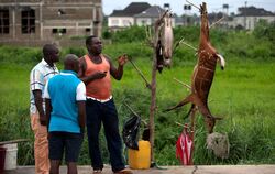 Wildfleischhändler in Nigeria